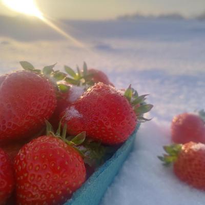 Земляника садовая свежая: урожая 2024 г, высший сорт