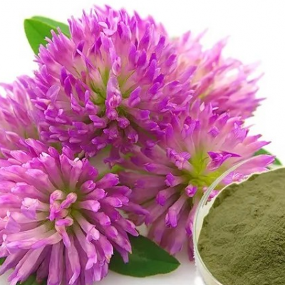 Сухой водорастворимый аморфный порошок. Получен методом распылительной сушки из водной вытяжки надземной части клевера. Фасовка по 5 кг в п/э пакеты. Тарное место 10 кг (2 пакета в картонной коробке)