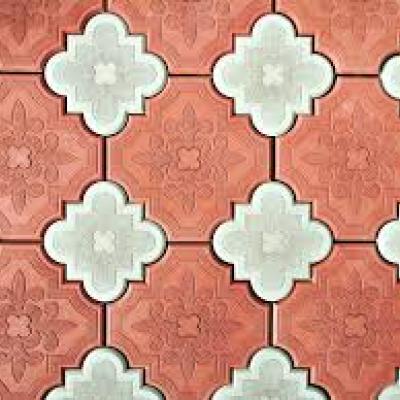 краковский клевер