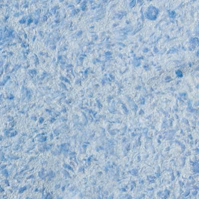 Виктория 717