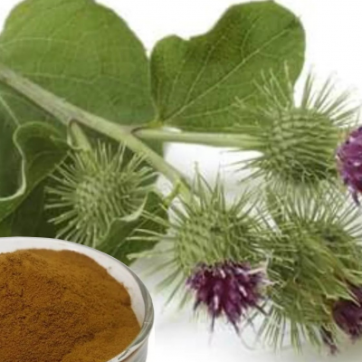 Сухой водорастворимый аморфный порошок. Получен методом распылительной сушки из водной вытяжки корней лопуха. Фасовка по 5 кг в п/э пакеты. Тарное место 10 кг (2 пакета в картонной коробке)