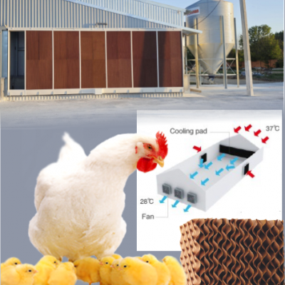 Микроклимат для с/х птичников, крольчатников