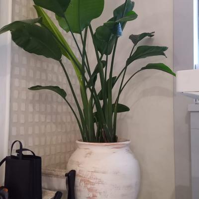 Большой кашпо, кашпо на заказ