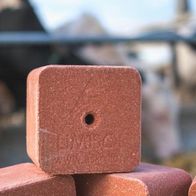 Соль-лизунец "Лимисол-МУСТАНГ" коралового цвета весом 5 кг круглой и квадратной формы, а также квадратный брикет весом 20кг, фасуется в коробки из гофрокартона по 4 штуки и в термоусадочную пленку.