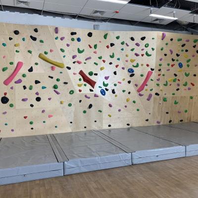 Обкладка скалодром